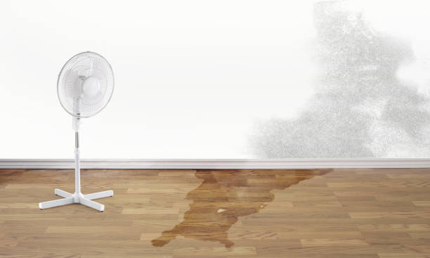 Best Water damage cleanup near me  in Casselberry, FL