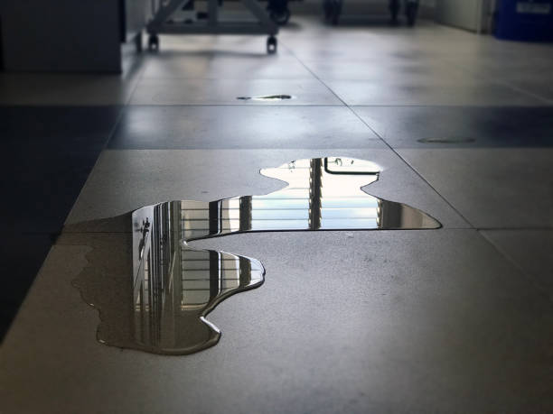 Best Water damage repair service  in Casselberry, FL