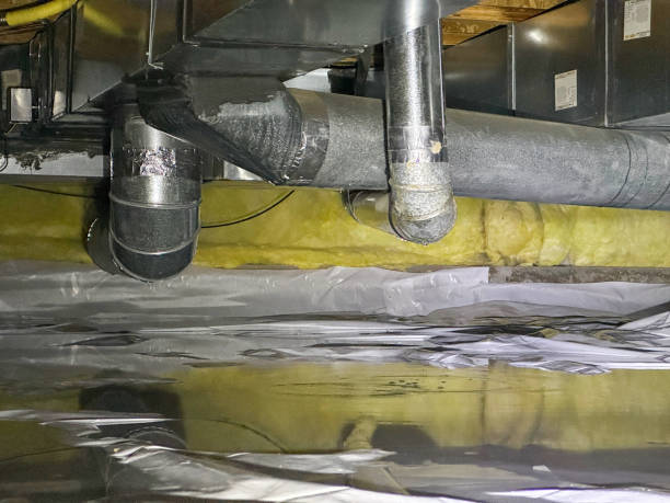 Best Professional water damage repair  in Casselberry, FL