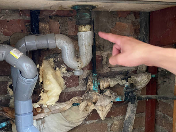 Best Basement water damage restoration  in Casselberry, FL